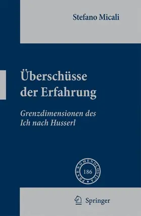 Micali |  Überschüsse der Erfahrung | Buch |  Sack Fachmedien