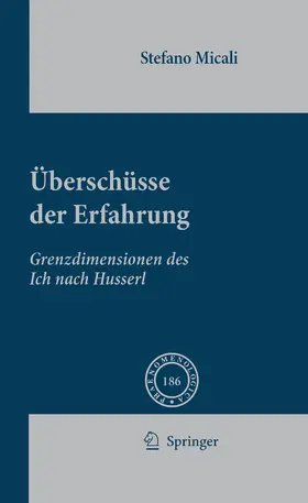 Micali | Überschüsse der Erfahrung | E-Book | sack.de