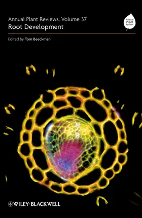 Beeckman |  Root Development | Buch |  Sack Fachmedien