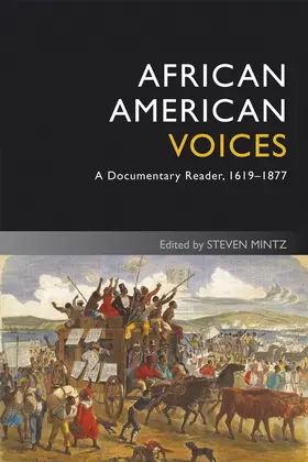 Mintz |  African American Voices | Buch |  Sack Fachmedien