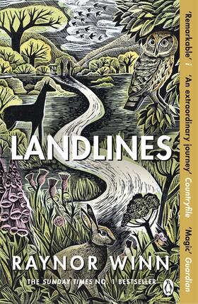 Winn |  Landlines | Buch |  Sack Fachmedien