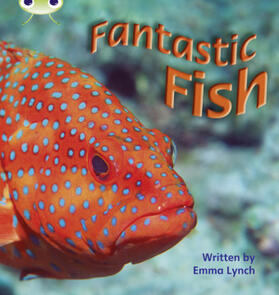 Lynch |  Bug Club Phonics - Phase 4 Unit 12: Fantastic Fish | Buch |  Sack Fachmedien
