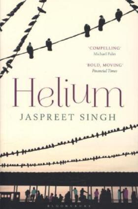 Singh |  Helium | Buch |  Sack Fachmedien