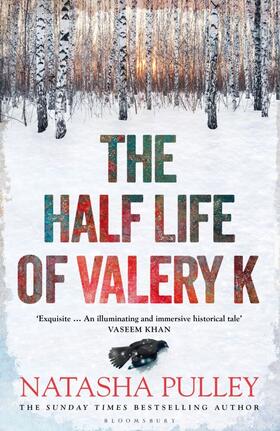 Pulley |  The Half Life of Valery K | Buch |  Sack Fachmedien