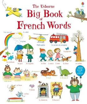 Mackinnon / Wood |  Big Book of French Words | Buch |  Sack Fachmedien
