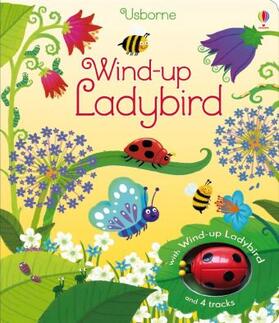 Watt |  Wind-up Ladybird | Buch |  Sack Fachmedien
