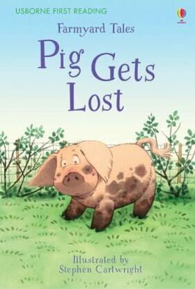Amery |  First Reading Farmyard Tales | Buch |  Sack Fachmedien