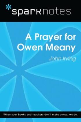 Sparknotes |  A Prayer for Owen Meany (SparkNotes Literature Guide) | eBook | Sack Fachmedien