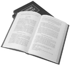 Hogg |  Consumer Behavior II: The Meaning of Consumption | Buch |  Sack Fachmedien