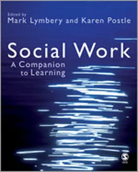 Lymbery / Postle | Social Work | Buch | 978-1-4129-2002-5 | www2.sack.de