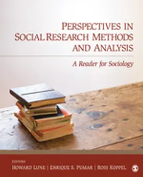 Lune / Pumar / Koppel |  Perspectives in Social Research Methods and Analysis | Buch |  Sack Fachmedien