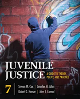 Cox / Allen / Hanser |  Juvenile Justice | Buch |  Sack Fachmedien