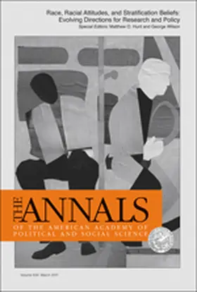 Hunt / Wilson |  Race, Racial Attitudes and Stratification Beliefs | Buch |  Sack Fachmedien