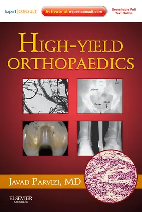 Parvizi |  High Yield Orthopaedics | Buch |  Sack Fachmedien