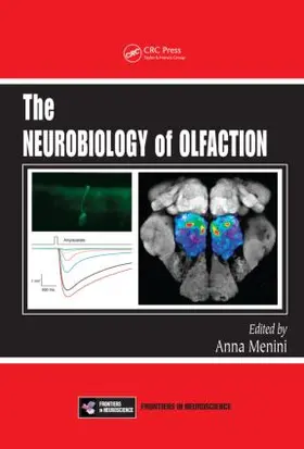 Menini |  The Neurobiology of Olfaction | Buch |  Sack Fachmedien
