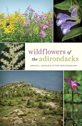 Leopold / Musselman | Wildflowers of the Adirondacks | Buch | 978-1-4214-3110-9 | sack.de