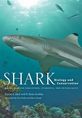 Abel / Grubbs |  Shark Biology and Conservation | Buch |  Sack Fachmedien