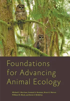 Marcot / Morrison / McKelvey |  Foundations for Advancing Animal Ecology | Buch |  Sack Fachmedien