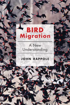 Rappole |  Bird Migration | Buch |  Sack Fachmedien