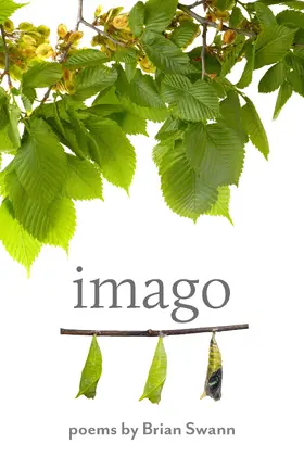Swann |  Imago | Buch |  Sack Fachmedien