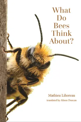 Lihoreau |  What Do Bees Think About? | Buch |  Sack Fachmedien