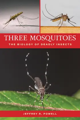 Powell |  Three Mosquitoes | Buch |  Sack Fachmedien