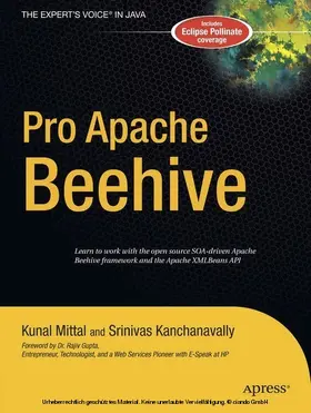 Kanchanavally / Mittal | Pro Apache Beehive | E-Book | sack.de