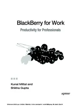 Mittal / Gupta |  BlackBerry for Work | eBook | Sack Fachmedien