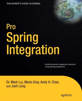 Long / Lui / Gray |  Pro Spring Integration | eBook | Sack Fachmedien