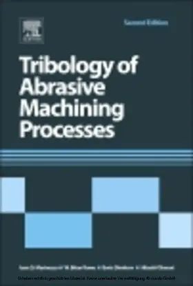 Marinescu / Rowe / Dimitrov | Tribology of Abrasive Machining Processes | E-Book | sack.de