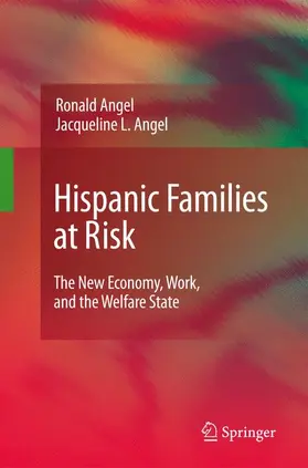 Angel | Hispanic Families at Risk | Buch | 978-1-4419-0473-7 | www2.sack.de