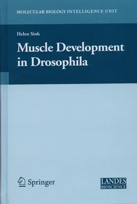 Sink |  Muscle Development in Drosophilia | Buch |  Sack Fachmedien