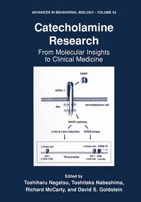 Nagatsu / Goldstein / Nabeshima | Catecholamine Research | Buch | 978-1-4419-3388-1 | sack.de
