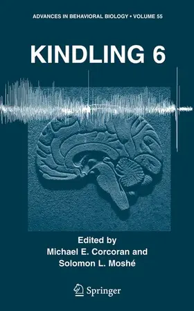 Moshé / Corcoran |  Kindling 6 | Buch |  Sack Fachmedien
