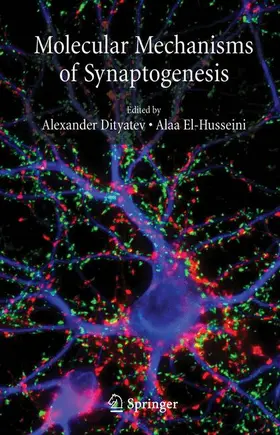 El-Husseini / Dityatev |  Molecular Mechanisms of Synaptogenesis | Buch |  Sack Fachmedien