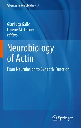 Gallo / Lanier |  Neurobiology of Actin | eBook | Sack Fachmedien