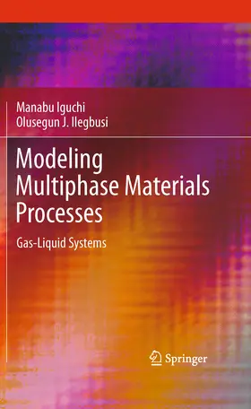 Iguchi / Ilegbusi |  Modeling Multiphase Materials Processes | eBook | Sack Fachmedien