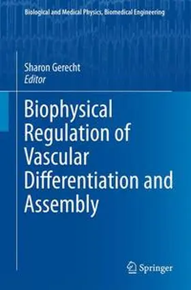 Gerecht |  Biophysical Regulation of Vascular Differentiation and Assembly | Buch |  Sack Fachmedien