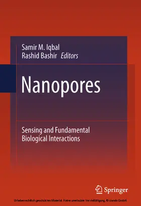 Iqbal / Bashir |  Nanopores | eBook | Sack Fachmedien