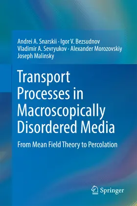 Snarskii / Bezsudnov / Sevryukov | Transport Processes in Macroscopically Disordered Media | E-Book | sack.de