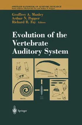 Manley / Fay |  Evolution of the Vertebrate Auditory System | eBook | Sack Fachmedien