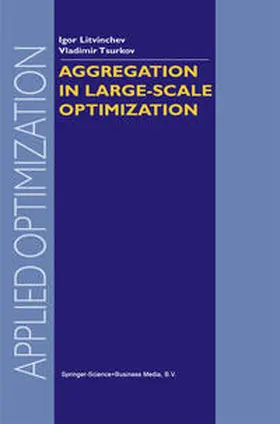 Litvinchev / Tsurkov | Aggregation in Large-Scale Optimization | E-Book | sack.de