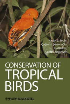 Sodhi / Sekercioglu / Barlow |  Conservation of Tropical Birds | eBook | Sack Fachmedien