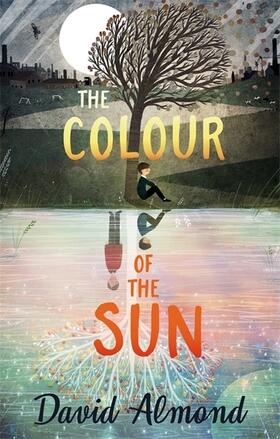 Almond |  The Colour of the Sun | Buch |  Sack Fachmedien