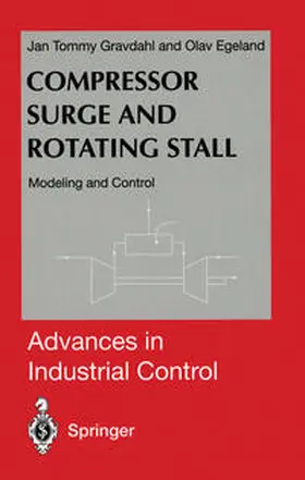 Gravdahl / Egeland |  Compressor Surge and Rotating Stall | eBook | Sack Fachmedien