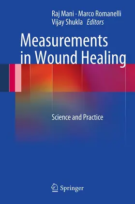 Mani / Romanelli / Shukla |  Measurements in Wound Healing | eBook | Sack Fachmedien