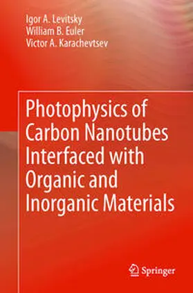 Levitsky / Karachevtsev / Euler |  Photophysics of Carbon Nanotubes Interfaced with Organic and Inorganic Materials | Buch |  Sack Fachmedien