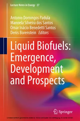 Domingos Padula / Edwards / Silveira dos Santos |  Liquid Biofuels: Emergence, Development and Prospects | eBook | Sack Fachmedien