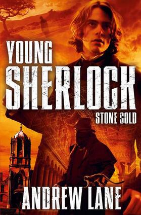 Lane |  Stone Cold | Buch |  Sack Fachmedien