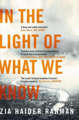 Haider Rahman | In the Light of What We Know | Buch | 978-1-4472-3123-3 | sack.de